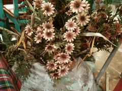 android_upload_pic-芭莉与彩虹西餐厅(成都合生汇店)