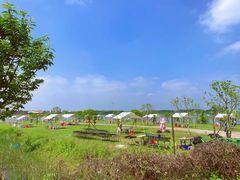 -梁子湖东篱老屋生态庄园