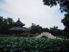-莲池书院博物馆