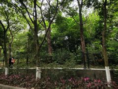 -广州市白云山风景名胜区