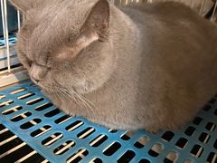 -小时光咖啡馆(北锣鼓巷店)