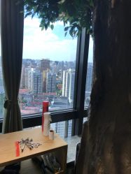 -V-STAR威斯达•高级私人定制