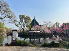 -无锡蠡湖国家湿地公园-蠡园