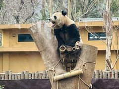 -杭州动物园