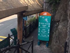 -东部华侨城