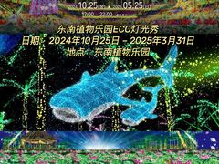 -美国村