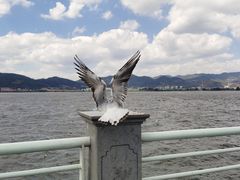 -海埂大坝