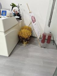 -十三美学·半永久纹眉纹唇·野生眉