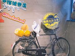 -榴梿乐园