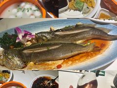 -33号大院·青岛本帮菜(五四广场店)