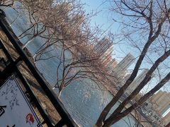 -桃花堤公园