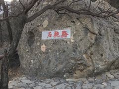 -阳台山自然风景区