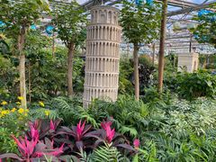 -南宫五洲植物乐园