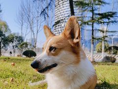 -天鹅湖体育公园