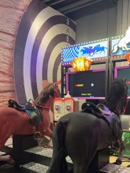 -嗨翻Hi-Fun竞技主题乐园·蹦床团建生日聚会(五棵松华熙店)