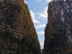 -卢森堡公园