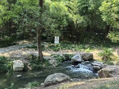 -新洲生态园