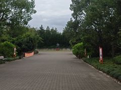 -上海海湾国家森林公园