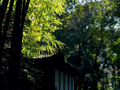 -成都杜甫草堂博物馆