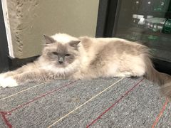 -零纪元VR体验馆·桌游(黄浦店)