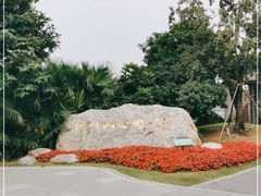 -顺峰山公园