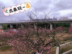 -秀丽东方