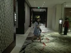 android_upload_pic-上海静安香格里拉大酒店