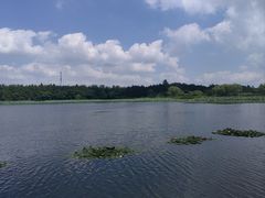 -溱湖国家湿地公园