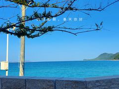 -杨梅坑
