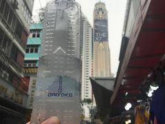 -彩虹云霄拜约克摩天塔