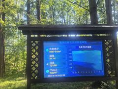 -黄海国家森林公园