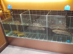 -醉秦川餐厅(吾悦广场店)