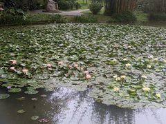 -广州逸林假日酒店·四季桃源中餐厅(白云山风景区店)