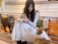 -平行世界·猫咖(首经贸店)