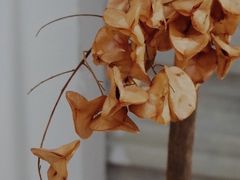-灶咖KITCHEN