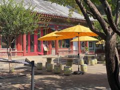 -宫事颐庭·老佛爷贵寿下午茶(颐和园店)