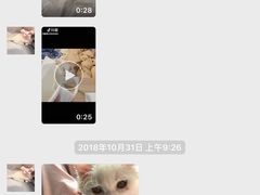 大家可以清楚看到31号猫去新家十几天才有眼泪其实也就是有点小感冒我也第一时间和他说怎么弄了。有问题大家可以沟通解决。终身售后从来都是很到位！但是凭什么甩锅黑人！？你是上帝么！？-Bastet sally猫舍购宠(静安店)