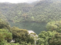 -鼎湖山风景区