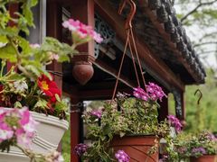 -国家植物园