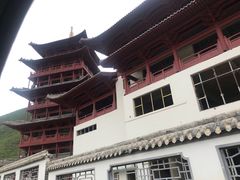 -大青山野生动物园