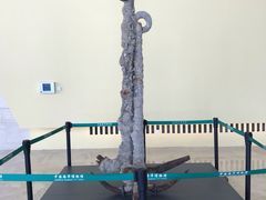 -贝林大翅鲸简餐厅(国家海洋博物馆店)