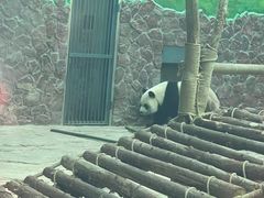 -黔灵山公园