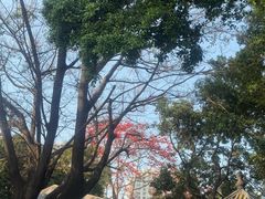-荔湾湖公园