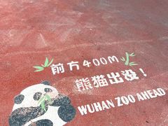 -武汉动物园