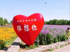-江苏三台山国家森林公园