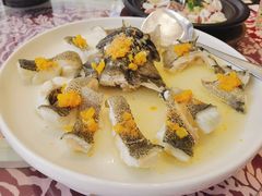大龙胆鱼-临家闽南菜(宝洲路店)