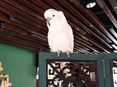 -牡丹弄·咖啡馆·酒馆(红坊里店)