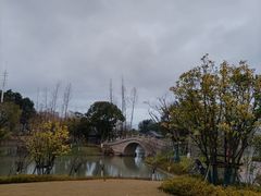-江心屿景区