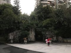 -深圳国际园林花卉博览园