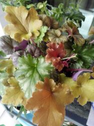 -瑜舍瑜伽连锁教室